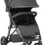 BabyStyle Oyster zero Gravity Fossil